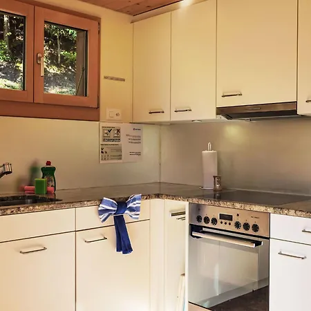 Pitschun By Interhome Chalet Grindelwald